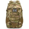 30l Cp-type