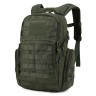 Armygreen