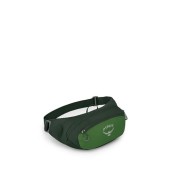 Osprey Daylite Unisex Waist Pack, 2L, Green Belt/Green Canopy