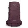 Elderberry Purple