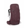 Elderberry Purple