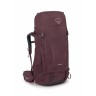 Elderberry Purple