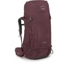 Elderberry Purple