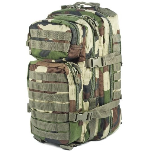 Mil-Tec Tactical Assault Backpack MOLLE Rucksack 20L, CCE Camo, Size S