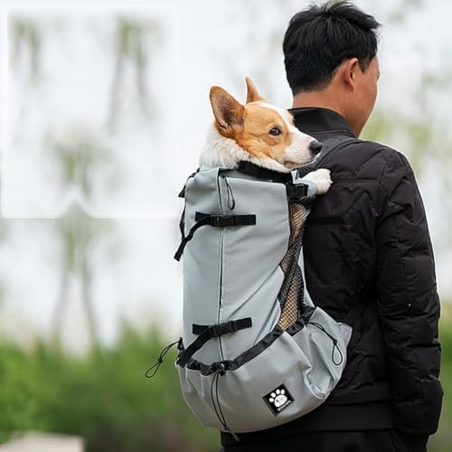 Woolala Grey S Dog Carrier Bag, Head-Out Ventilated Pet Backpack-2