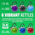 BARGAINS-GALORE 3-in-1 Camping Starter Kit with Gas Stove, 4 Gas Bottles and 2.5L Kettle