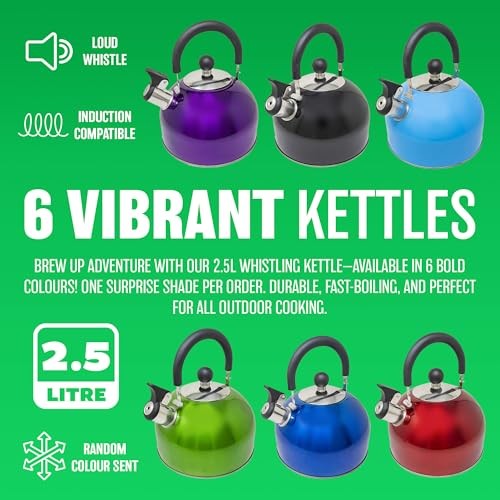 BARGAINS-GALORE 3-in-1 Camping Starter Kit with Gas Stove, 4 Gas Bottles and 2.5L Kettle-3