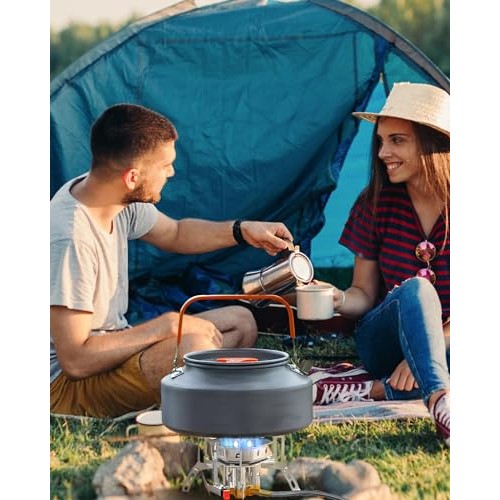 Coyonce Silver Portable Camping Gas Stove, 3900W Burner with Piezo Ignition, Adapters and Converters-6