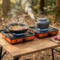 Delousiber Portable Folding Camping Gas Stove, 2 Burners, 4400W, with 1m Hose and Carry Bag