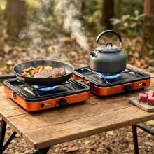 Delousiber Portable Folding Camping Gas Stove, 2 Burners, 4400W, with 1m Hose and Carry Bag