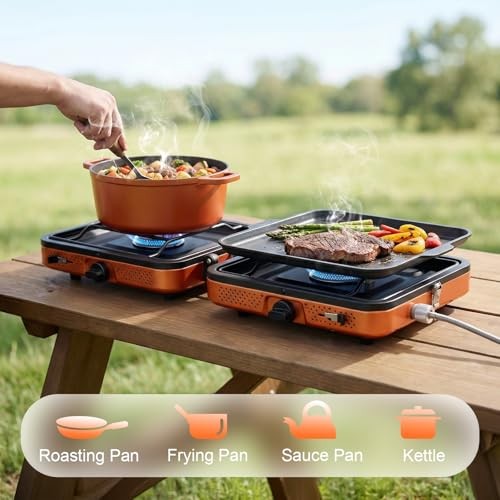 Delousiber Portable Folding Camping Gas Stove, 2 Burners, 4400W, with 1m Hose and Carry Bag-5