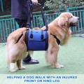 Kokoie Dog Carry Sling and Lift Harness, Blue, L