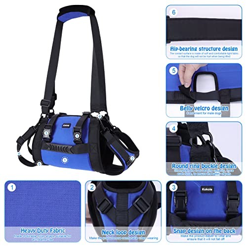 Kokoie Dog Carry Sling and Lift Harness, Blue, L-4