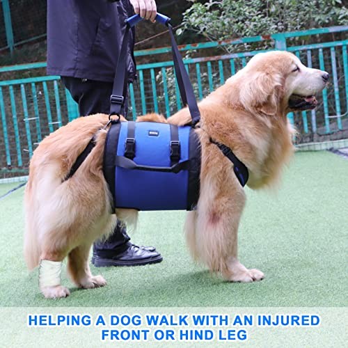 Kokoie Dog Carry Sling Emergency Lift Harness, Blue XXL-1