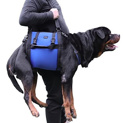 Kokoie Dog Carry Sling Emergency Lift Harness, Blue XXL