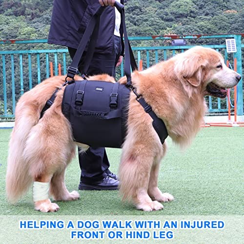 Kokoie Dog Carry Sling Emergency Lift Harness, Black XXL-1