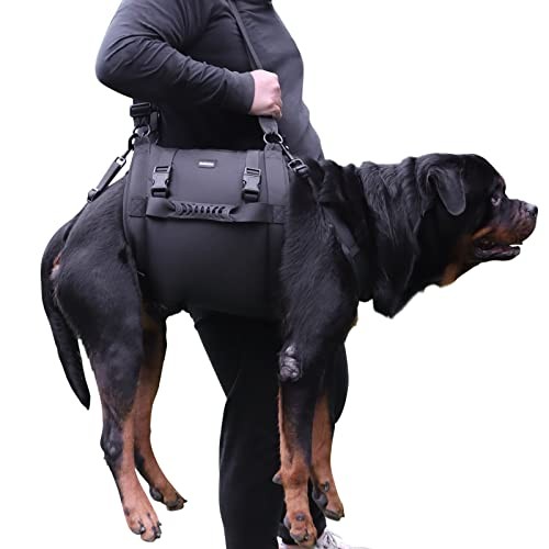 Kokoie Dog Carry Sling Emergency Lift Harness, Black XXL