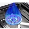 DWD Premium Double Camping Gas Stove, 5kW, Grey, with EN417 Connector