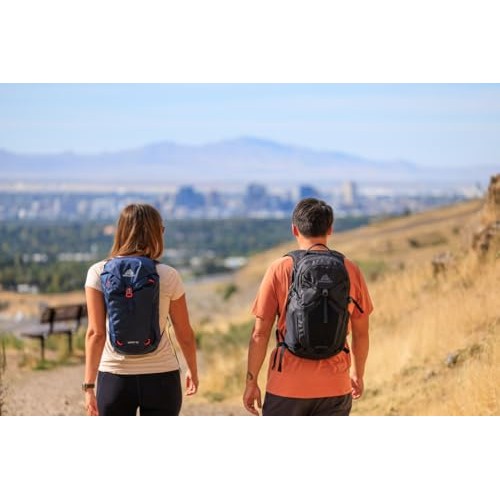 Gregory Nano 20 Plus Size Unisex Day Hiking, Commuter and Active Travel Backpack, Rio Blue, 16L, One Size-4
