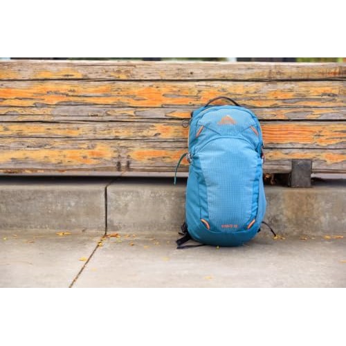 Gregory Nano 20 Plus Size Unisex Day Hiking, Commuter and Active Travel Backpack, 18L, Moab Tan/Rio Blue-2