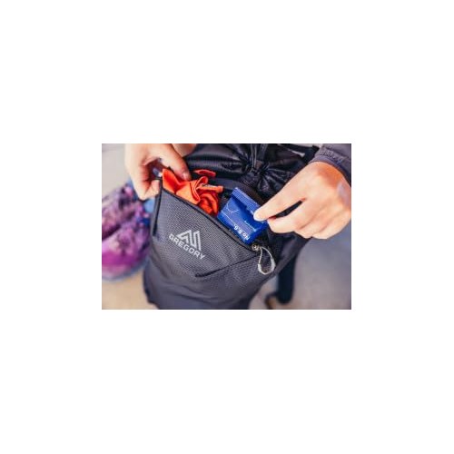 Gregory Nano 20 Plus Size Unisex Day Hiking, Commuter and Active Travel Backpack, Spark Navy, One Size, 14L-5