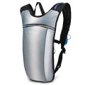RillyRellow Hydration Backpack with 2L Water Bladder, Grey