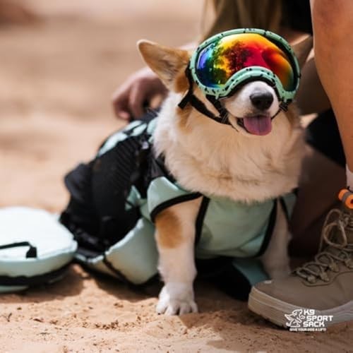 K9 Sport Sack Air Plus Medium Dog Carrier Backpack, Summer Mint-4
