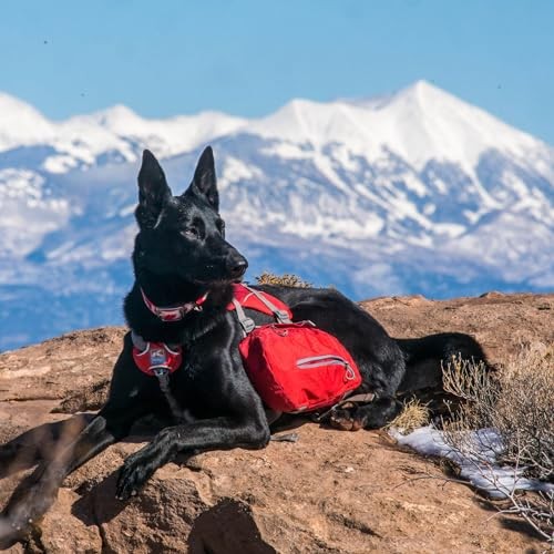 Kurgo Baxter Dog Backpack Harness, 30-85 lbs, Chili Red-6