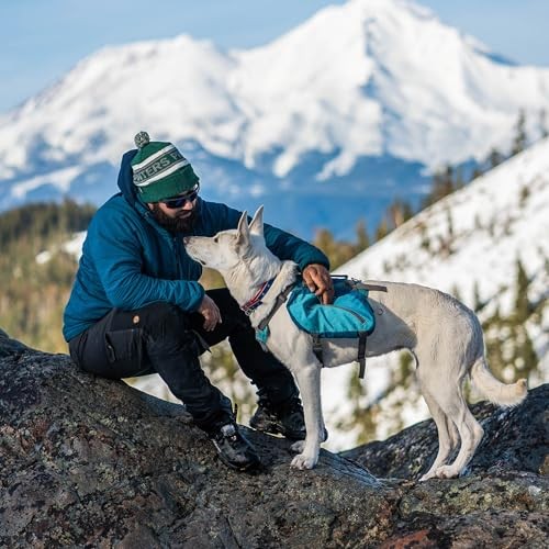 Kurgo Baxter Dog Backpack, Big Baxter, Coastal Blue-4