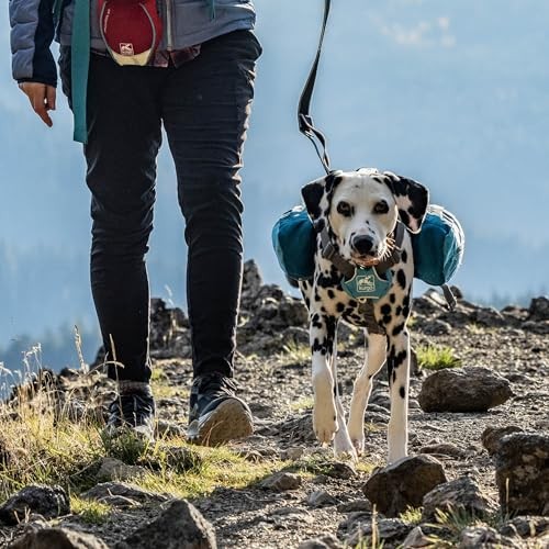 Kurgo Baxter Dog Backpack, Big Baxter, Coastal Blue-5