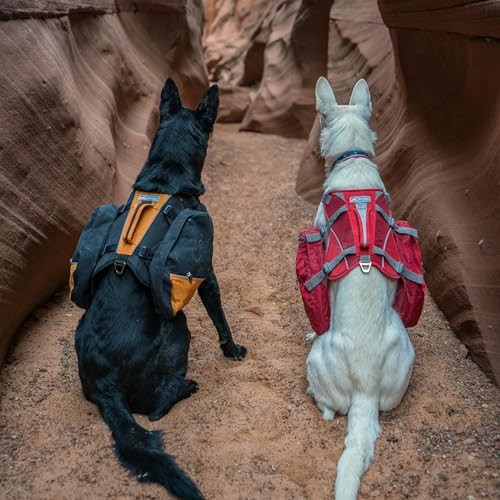 Kurgo Baxter Dog Backpack Hiking Pack, Lightweight, Reflective, Black/Orange-4