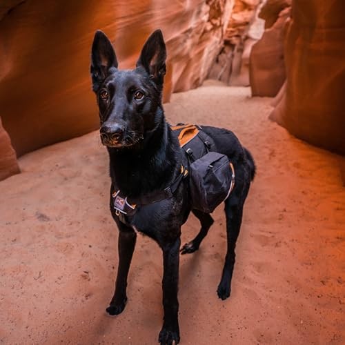 Kurgo Baxter Dog Backpack Hiking Pack, Lightweight, Reflective, Black/Orange-6