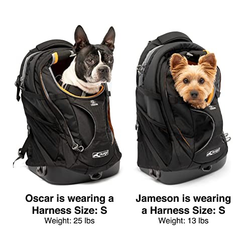 Kurgo G-Train Dog Carrier Backpack for Small Dogs up to 11kg, Black-8
