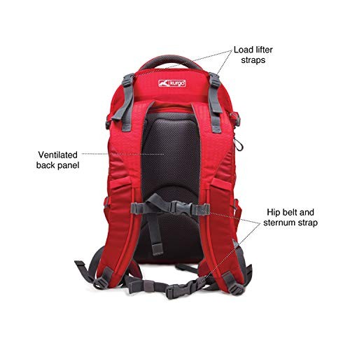 Kurgo G-Train Pack Carrier Backpack for Small Dogs and Cats, Red-3