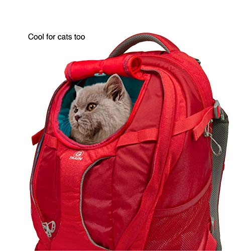 Kurgo G-Train Pack Carrier Backpack for Small Dogs and Cats, Red-5