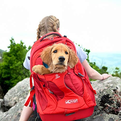 Kurgo G-Train Pack Carrier Backpack for Small Dogs and Cats, Red-6