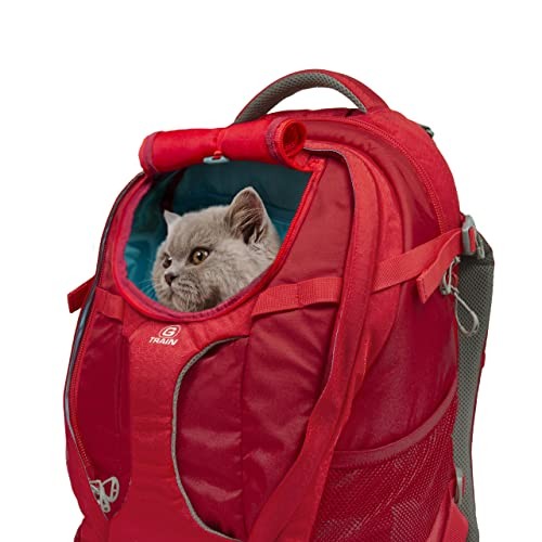 Kurgo G-Train Pack Carrier Backpack for Small Dogs and Cats, Red-7