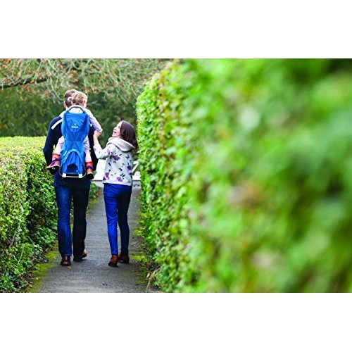 LittleLife Adventurer Baby & Child Back Carrier, Blue-9
