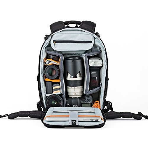 Lowepro Flipside 400 AW II Camera Backpack, Black-7