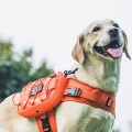 OneTigris Mammoth 2.0 Dog Backpack, M, Orange