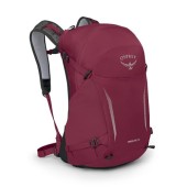 Osprey Hikelite 26L Unisex Backpack, Chameleon/Black, One Size
