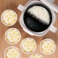 OVAQUIXI 2L Portable Car Rice Cooker with Dual Safety Clasps