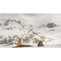 Robens Mountain BIVVY bivvy case