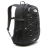 Tnf Black-asphalt Grey