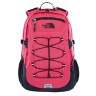 Raspberry Red/Tnf Black