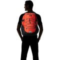 The North Face Borealis Classic Backpack, Flare Ripstop/Black, One Size