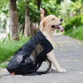 Woolala Small Dog Backpack Carrier, Black, Size S, Front Pack with Waterproof Lining