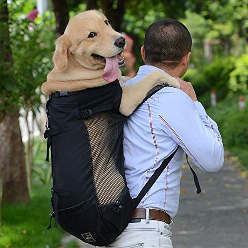 Woolala Light Weight Pet Carrier Backpack for Small and Medium Dogs, Black, M-1