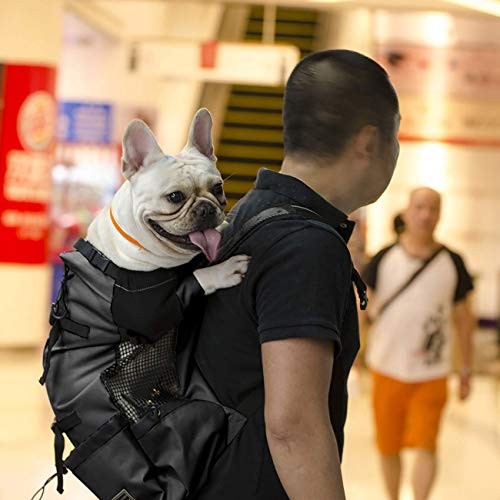 Woolala Light Weight Pet Carrier Backpack for Small and Medium Dogs, Black, M-3