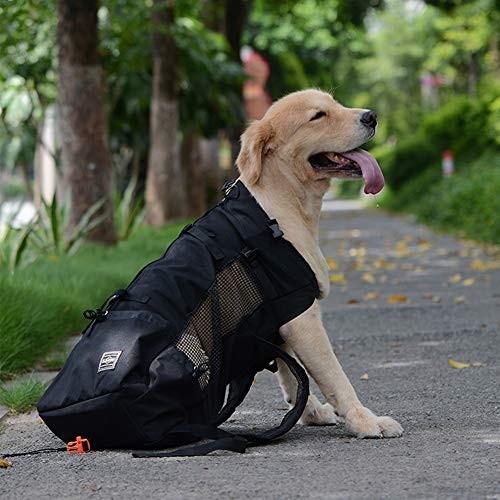 Woolala Lightweight Pet Carrier Backpack for Small and Medium Dogs, Black, Size S-2